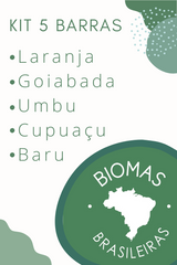 KIT: Biomas Brasileiros (5 barras)
