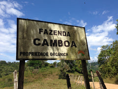 Fazenda camboa Bahia cacau, propriedade orgânica. 